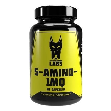 Buy 5-Amino-1MQ Online UK | Targeted Metabolic Research Buy 5-Amino-1MQ Online UK